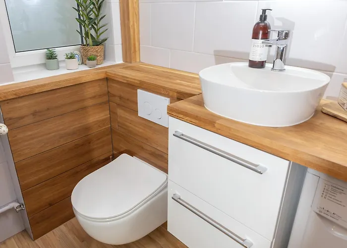 Luxus Wzgorze 公寓 格丁尼亚